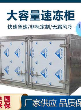 速冻机急冻冰柜慕斯包子海鲜液氮速冻柜小型商用冻库饺子海参冰箱