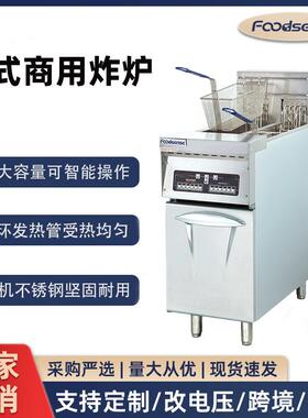 商用立式电炸炉油炸锅双缸电脑版大容量数显控温连锁鸡排锅炸薯条