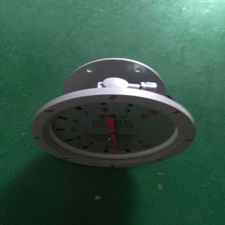 变压器YZFYZS位指油针油位表计XE包邮