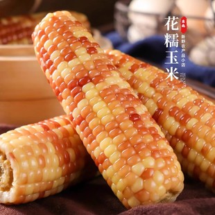 东北花糯玉米棒10棒花苞米现摘真空包装新货新鲜甜玉米粒粘非即食