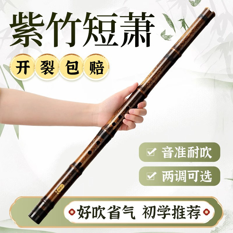 紫竹短萧初学者入门洞箫专业短竹箫便携八孔G调F高级玉短潇笛乐器