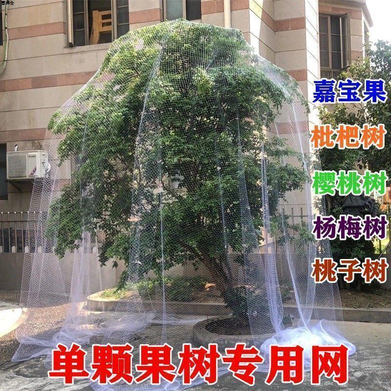 果树防雀网新款鸟罩嘉宝