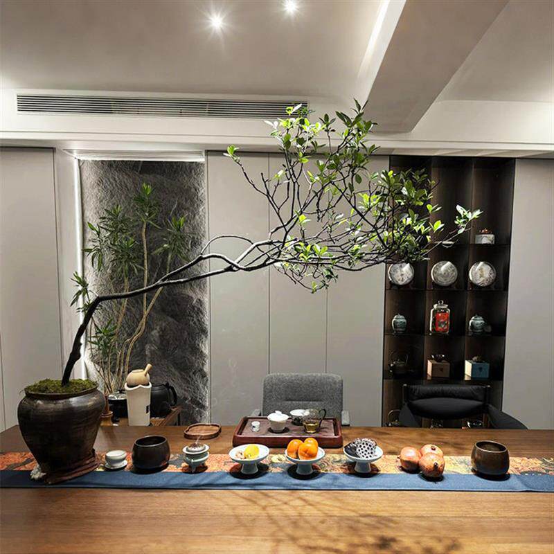 海岛春花栀子花盆景室内庭院造型大型植物四季常青书房茶艺绿植