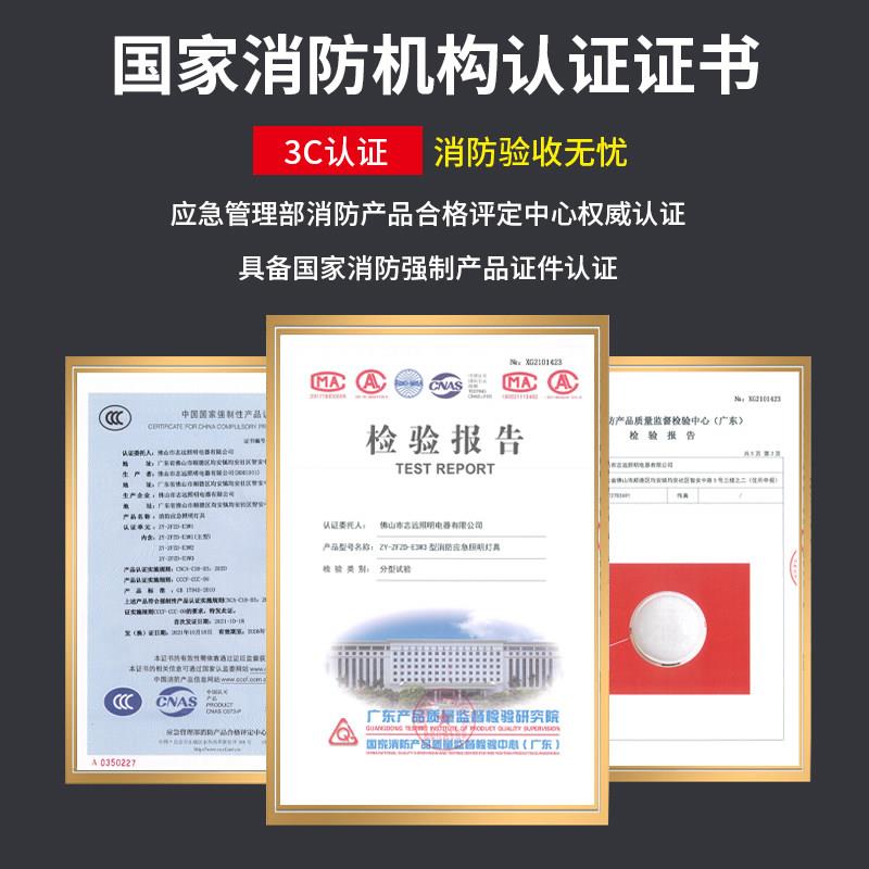 合隆防爆科技应急吸顶灯声控人体感应灯楼道商场停电消防应急照明