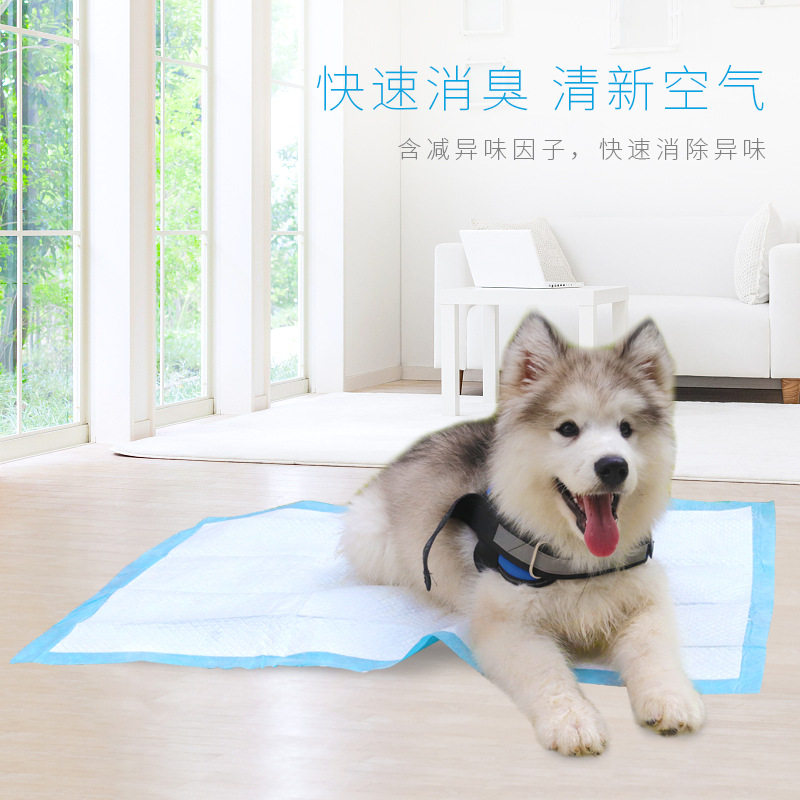 宠物尿垫狗狗尿片尿不湿吸水垫除臭厕所用品猫咪泰迪金毛训导尿布,宠物/宠物食品及用品,尿片/尿垫/护垫,淘宝优惠券,粉丝福利购,淘宝优惠卷