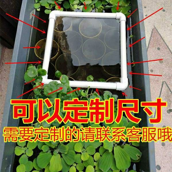 浮萍隔离圈鱼粮投喂圈小型乌龟喂食圈鱼儿鱼食投食圈水族箱漂浮圈