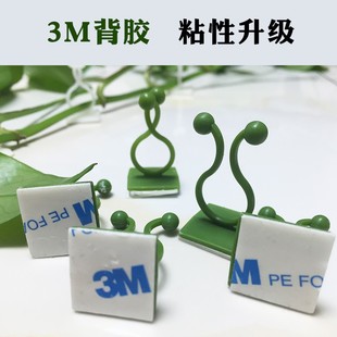 植物爬墙绿萝固定神器绿箩攀爬藤蔓夹子绿罗无痕隐形卡扣环挂钩架