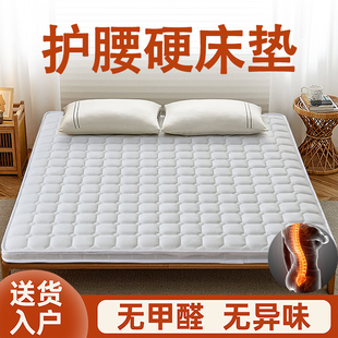 护腰硬床垫天然椰棕垫子家用加硬神器无甲醛榻榻米3e环保薄款 折叠