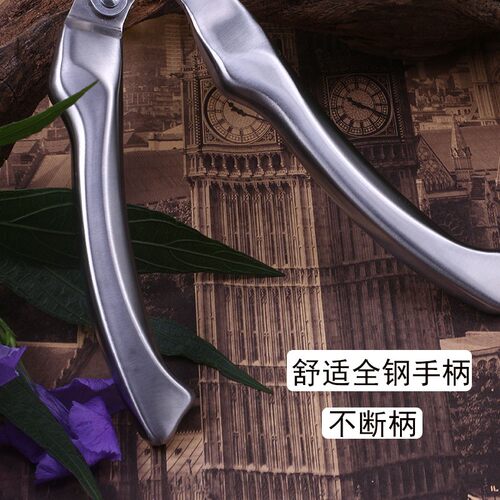 全钢不锈钢树枝剪家用园艺剪果树修花剪摘果剪多功能自动回弹剪刀