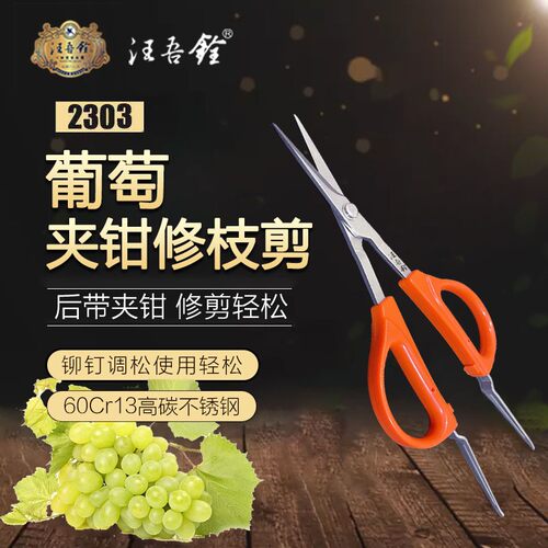 汪吾铨带镊子葡萄蔬果专用剪刀取坏果阳光玫瑰带夹子修枝剪稀果剪