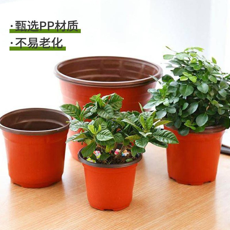 双色盆育苗盆简易一次性花盆塑料大号育苗杯多肉叶插盆加厚营养钵