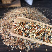 七彩文鸟芙蓉鸟金丝雀鸟珍珠鸟芙蓉鸟玉鸟金青食混合鸟食鸟粮饲料