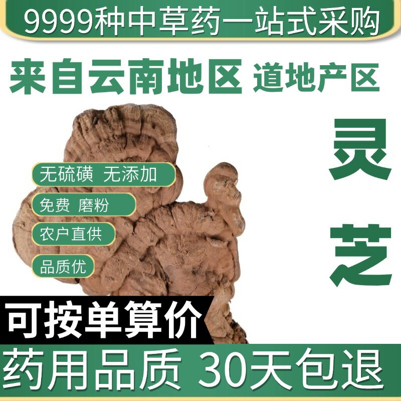 长白山灵芝平盖灵芝树舌50克天然林芝整枝大个块原产地直发农家干