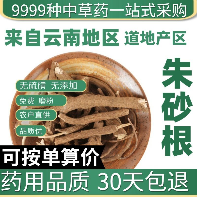 特级朱砂根 小罗伞正品新货百两金 紫金牛 铁雨伞50克原产地直发
