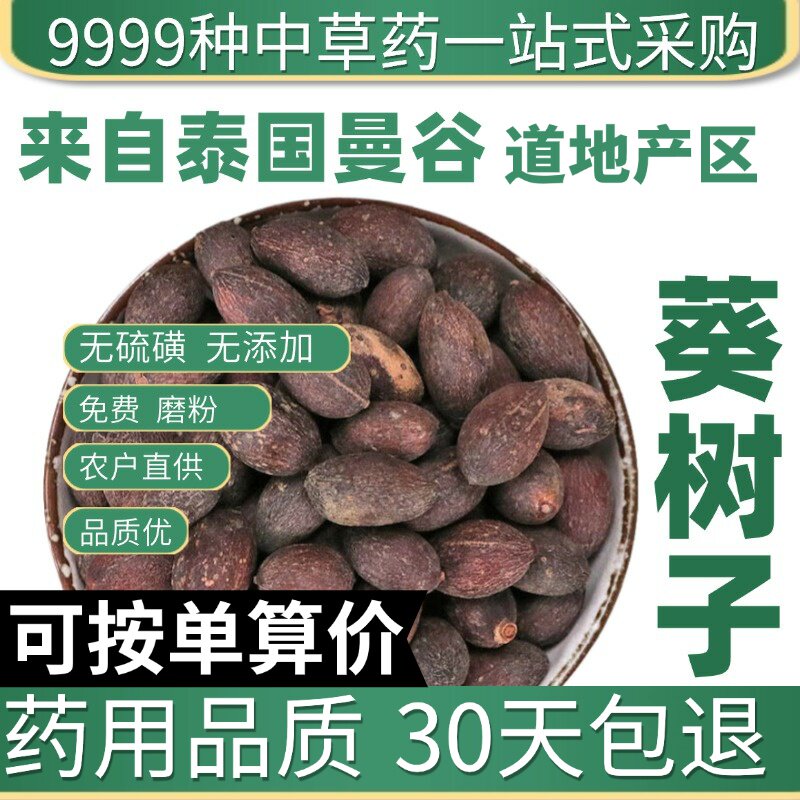 特级葵树子葵扇子葵扇籽葵树籽蒲扇子蒲葵子50g正品新原产地直发
