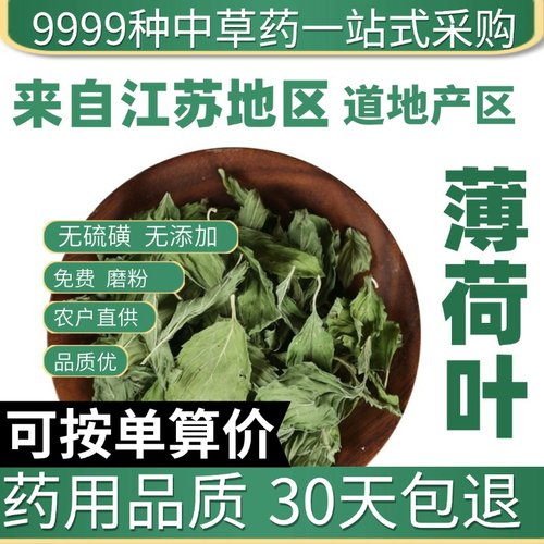中药材特级新货薄荷叶泡干食用薄荷叶新鲜干货泡水大薄荷叶50g