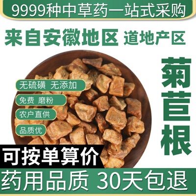 中药材特级野生菊苣根50克长白山蒲公英栀子茶菊苣根粉菊巨根药用