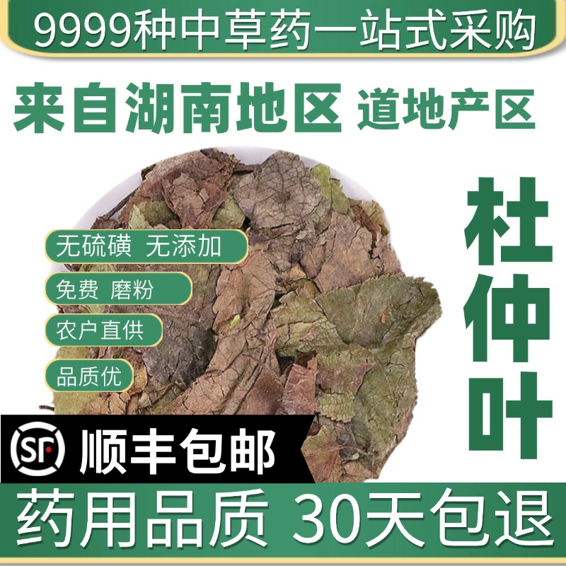 中药材特级野生仙杜仲叶50g克正品新货杜仲嫩叶茶芽可磨杜仲茶粉