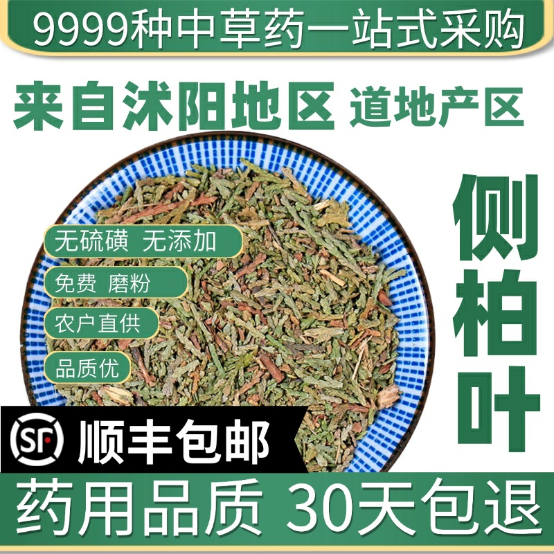 中药材野生特级侧柏叶扁柏叶丛柏叶 新货侧柏叶干货 洗头防脱50g