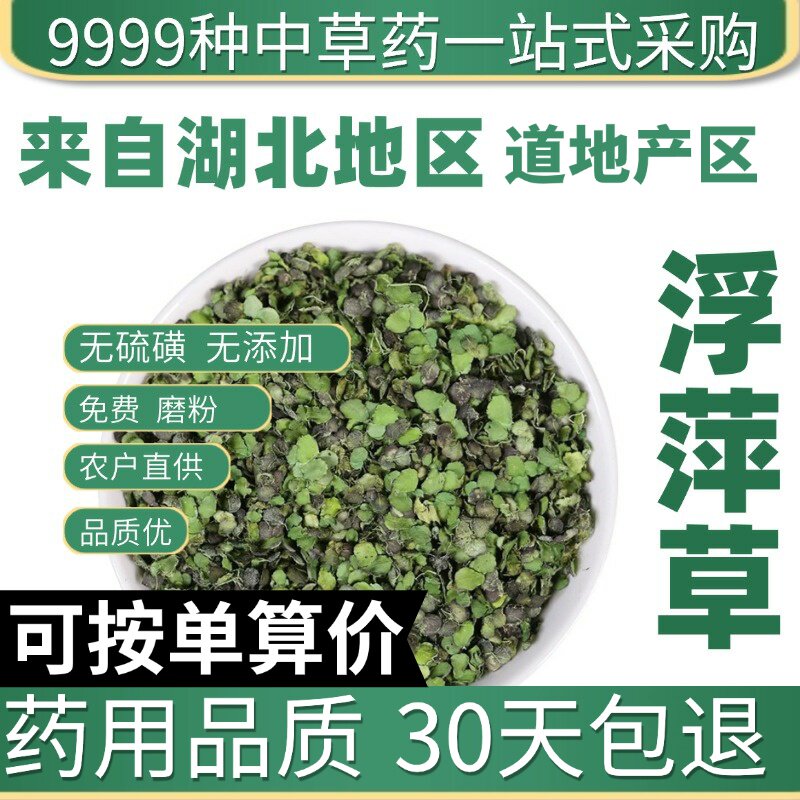 特级浮萍草 夫萍 浮萍 水萍 浮萍草 正品紫背浮萍50克原产地直发