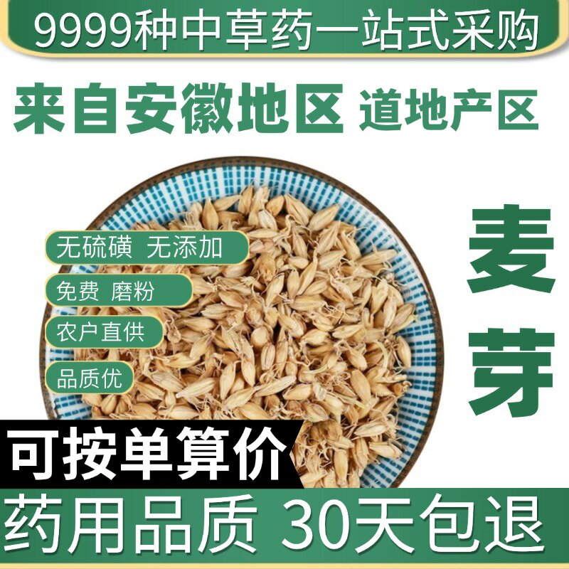 特级天然麦芽50g生麦芽回奶大麦芽谷芽麦芽泡水生麦芽原产地直发