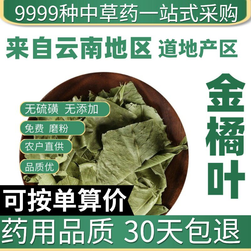 特级金橘叶正品新货干货橘子叶 桔叶泡茶 金橘叶新鲜原产地直发农