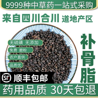 中药材特级野生补骨脂 破故子 胡韭子 正品新货黑故子 破故纸 50g