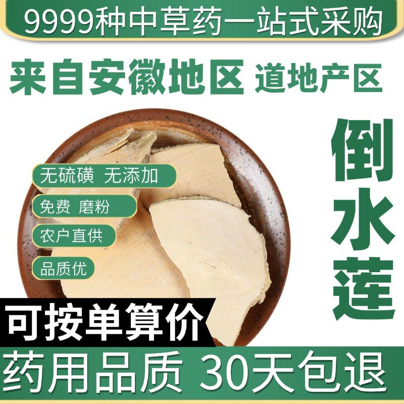 特级黄花倒水莲 正品倒吊黄根 黄花大远志观音串50克原产地直发农