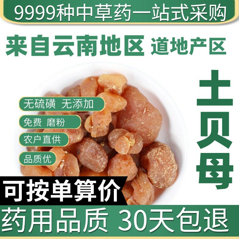 特级土贝母 正品新货土贝 地苦胆 草贝 50克原产地直发农家干货