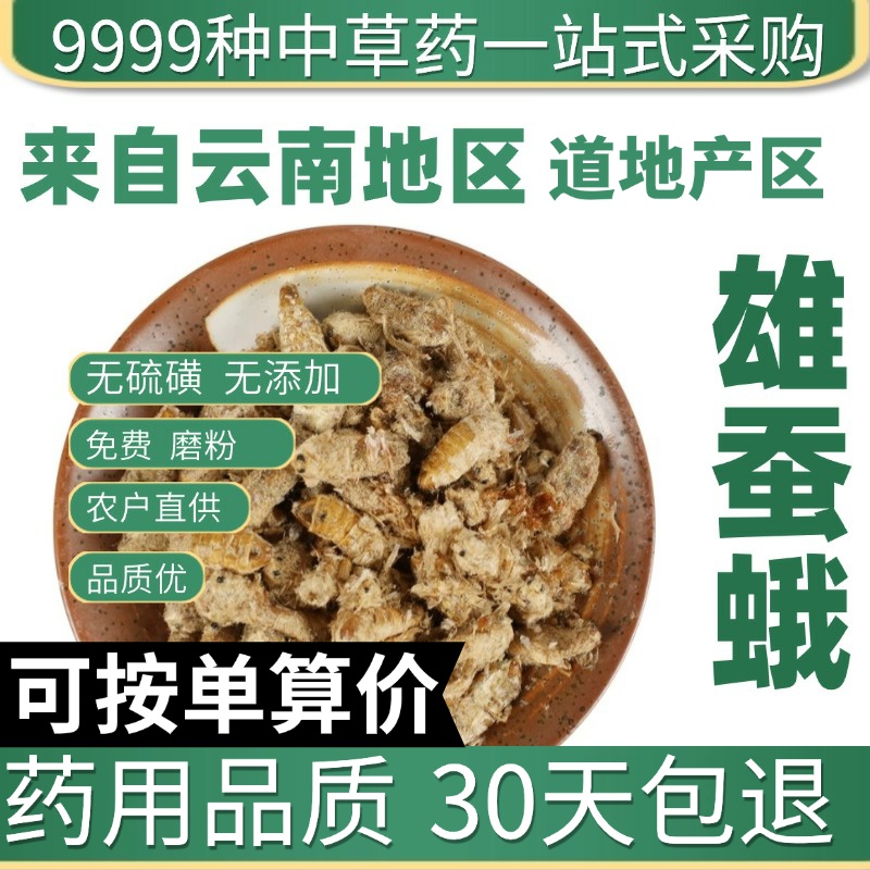 中药材特级野生雄蚕蛾公蝉俄晚娥魏蚕峨免费磨粉雄天蛾原蚕蛾50g
