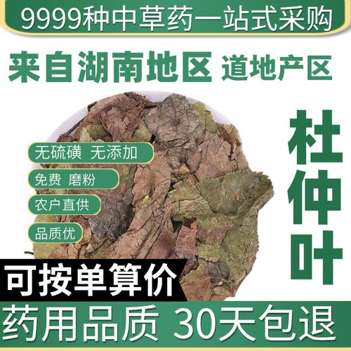 特级仙杜仲叶50g克正品新货杜仲嫩叶茶芽可磨杜仲茶粉原产地直发