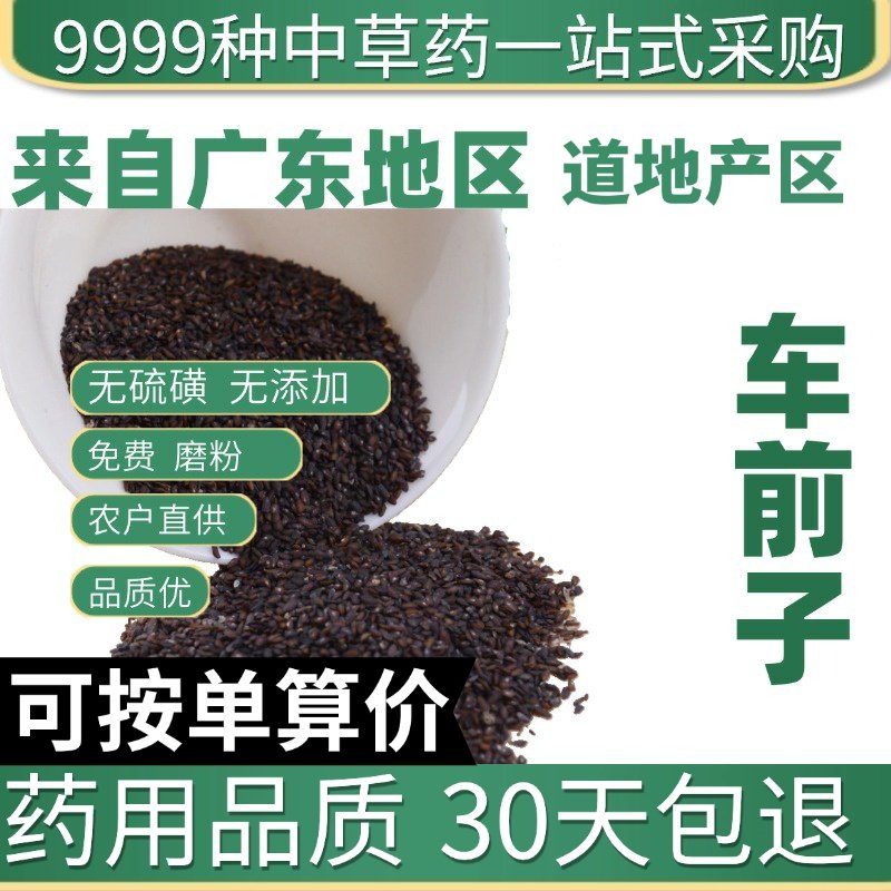 特级车前子 车前草籽 车前子茶 车前籽 50g原产地直发农家干货