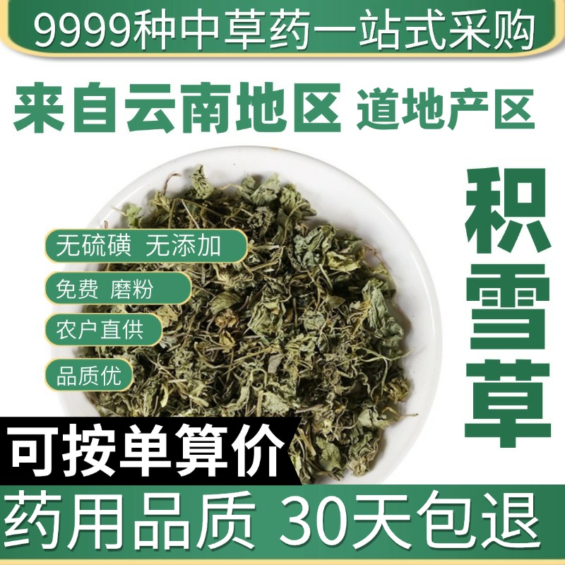 中药材店铺特级野生积雪草 落得打50g 正品新货 中草药大全