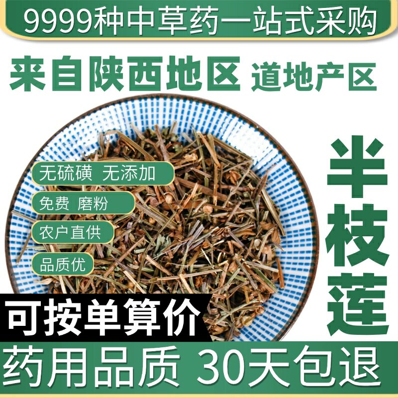 特级半枝莲草药50g另售百白花蛇舌草半枝莲茶铁树叶原产地直发农