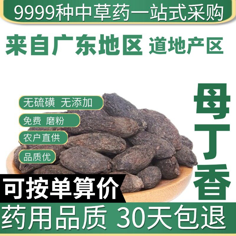特级母丁香50克正品新货香料调料鸡舌香亭炅独生雌丁香原产地直发