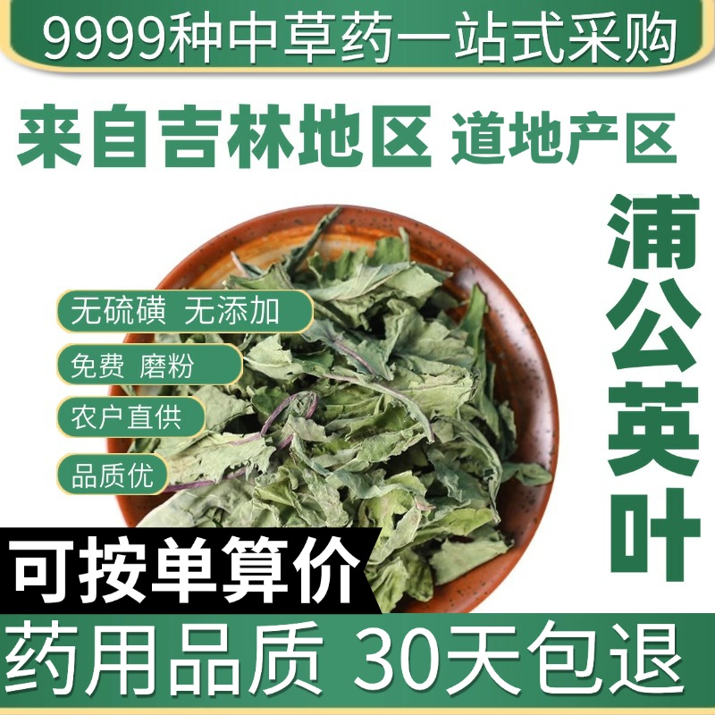 中药材店铺蒲公英叶 野生特级新货 公英茶整棵 天然晒干50g