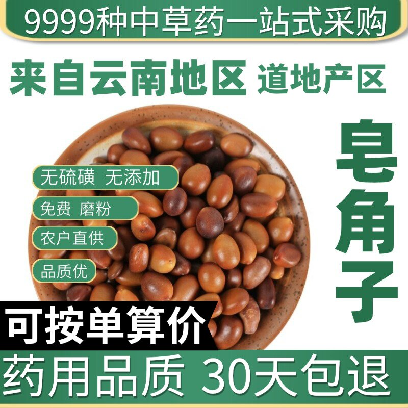 特级皂角子 黑皂角籽 皂荚树种子 皂角核正品新货50克原产地直发