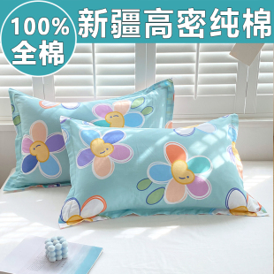 家用儿童枕头套成人48cmx74cm 100%新疆高密全棉枕套一对装