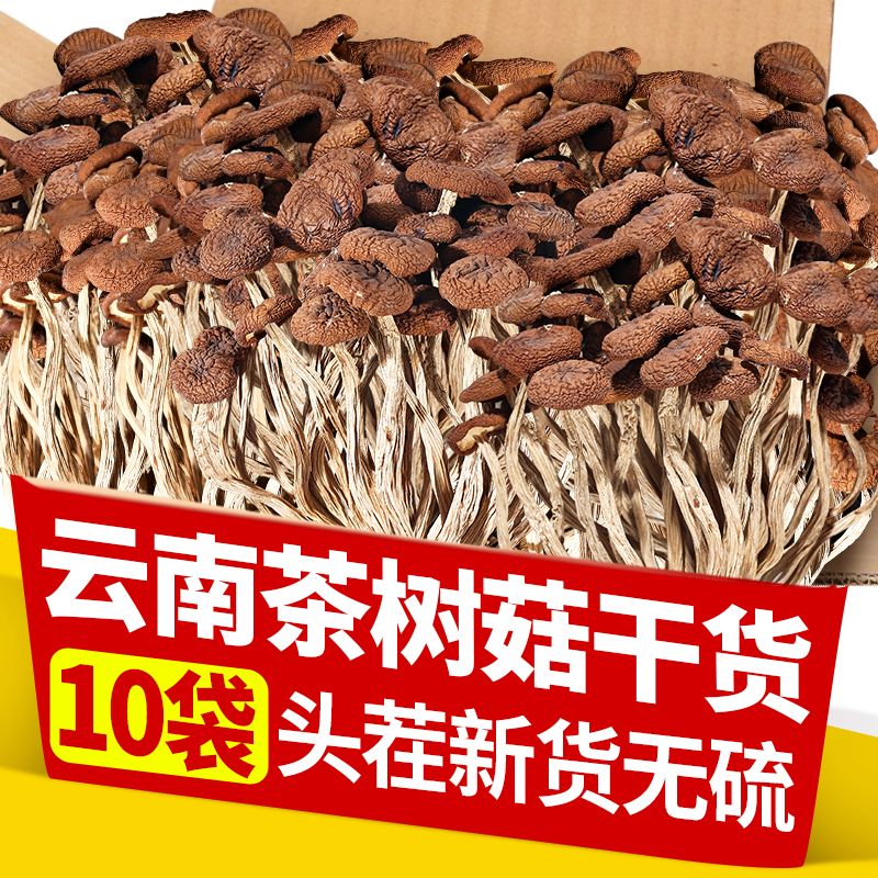 云南茶树菇新鲜干货新货菌菇汤料包脆嫩鲜香蘑菇菌菇炖鸡煲汤食材