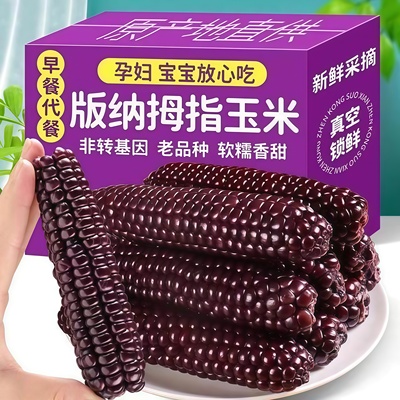 紫色拇指黑玉米真空即食新鲜苞米