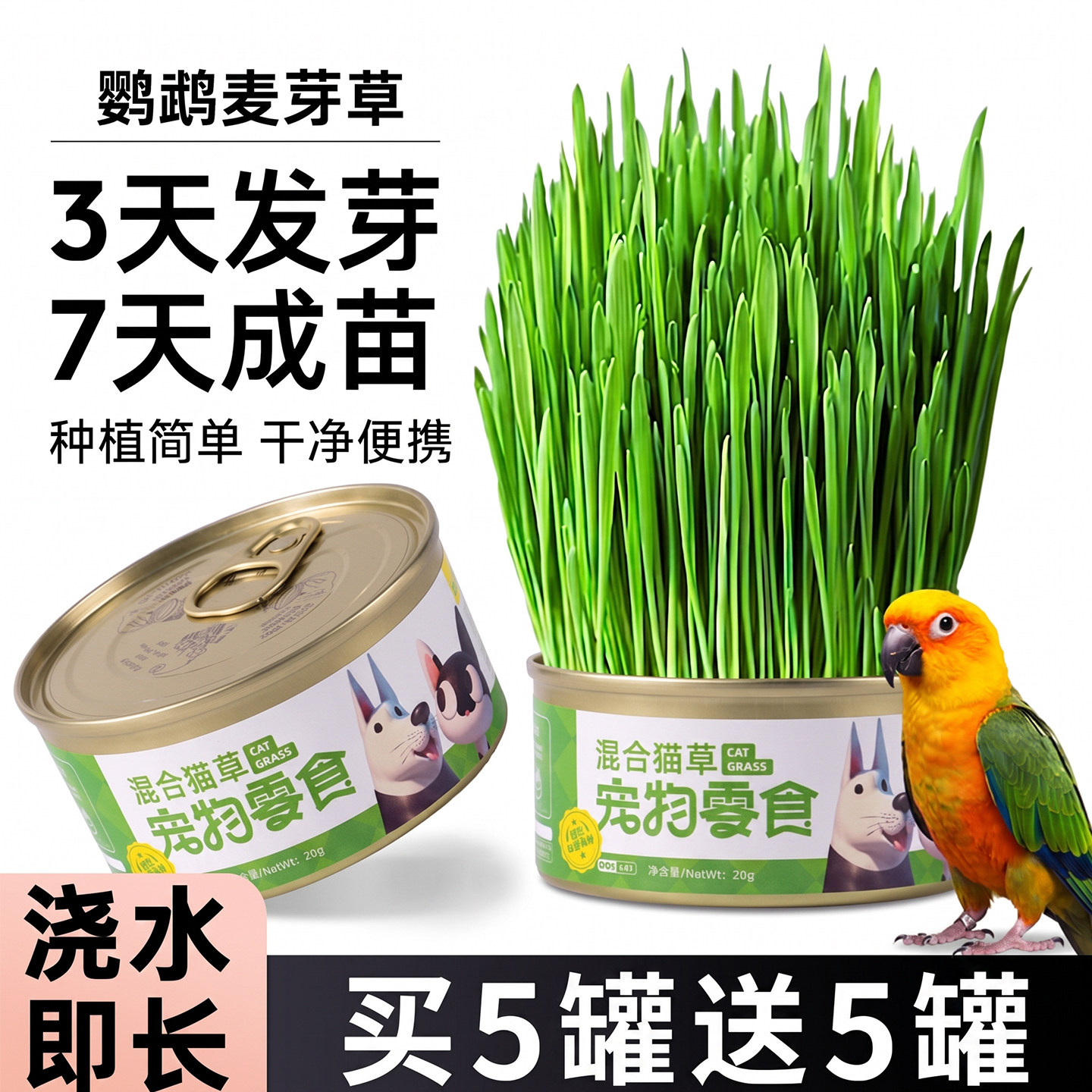 均1.4元/每罐~鹦鹉麦草罐促消化