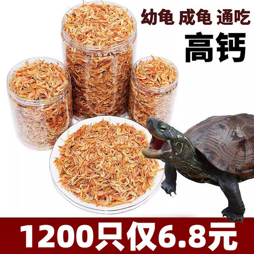 抢~4000条营养龟吃无盐鱼虾肉干
