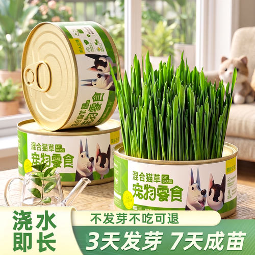 没毛球别买~懒人专用猫草罐排毛