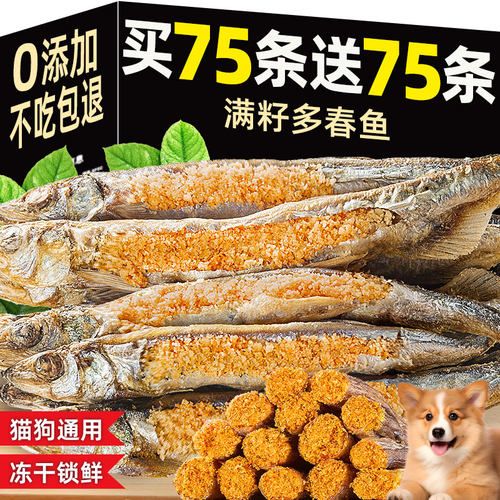 600条免费吃！无盐猫咪零食鱼干