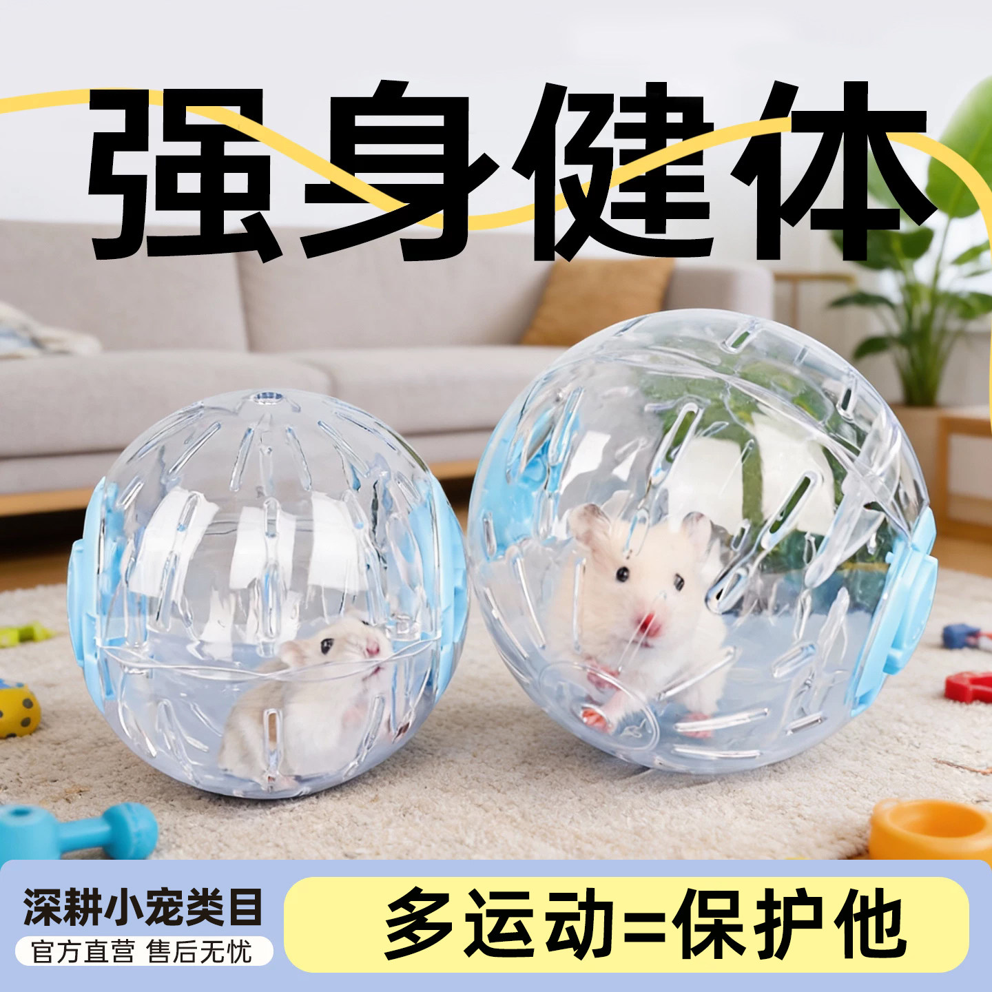 不运动=伤害他仓鼠运动跑轮滚球