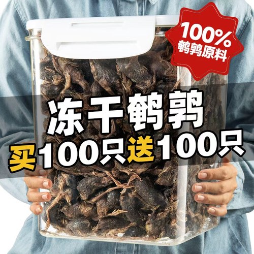 【买100只送100只】精选鹌鹑冻干