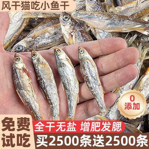 抢~整箱约5000条无盐猫吃小鱼干