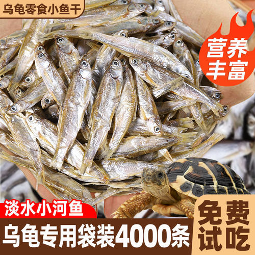 4000条袋大包装乌龟无盐鱼干饲料