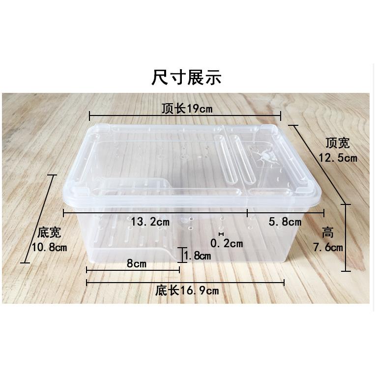 新款直销爬虫饲养盒爬宠箱蚕宝宝蜘蛛角蛙守宫盒蜥蜴宠物蛇蜗牛昆