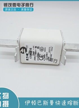 巴斯曼熔断器170M1561 1569 3816 3818 5812 5813 6410 6810 7064